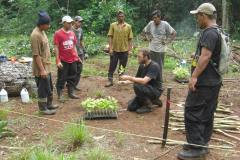 conservation-team-shipstern-belize-planting-mahagonies