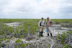 sustainable-tourism-shipstern-belize-mangrove-hike