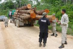 conservation-team-shipstern-belize-checking-logging-truck