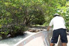sustainable-tourism-shipstern-belize-central-america-mangrove-island